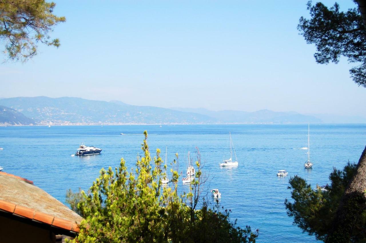 Portofino Seaview Apartment, 50 Meters From The Beach, Free Parking, Air Conditioning Paraggi Εξωτερικό φωτογραφία