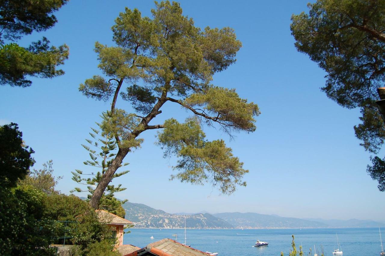 Portofino Seaview Apartment, 50 Meters From The Beach, Free Parking, Air Conditioning Paraggi Εξωτερικό φωτογραφία